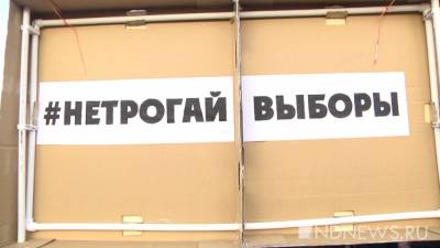 Полтора дня голосования: явка в Курганской области составила почти 28% - newdaynews.ru - Россия - Санкт-Петербург - Курганская обл. - Курган