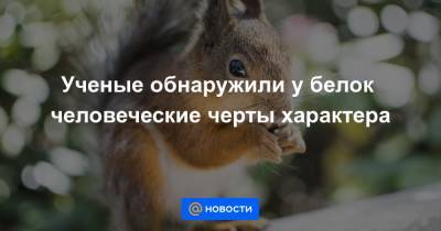 Ученые обнаружили у белок человеческие черты характера - news.mail.ru
