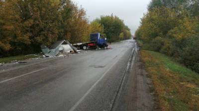 Два человека пострадали в массовом ДТП с фурами на трассе в Воронежской области - vestivrn.ru - Воронежская обл.