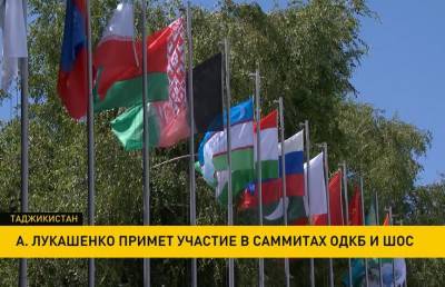Александр Лукашенко - Лукашенко примет участие в саммитах ОДКБ и ШОС в Таджикистане - ont.by - Белоруссия - Душанбе - Таджикистан - Афганистан