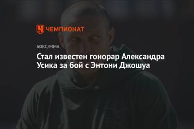 Александр Усик - Энтони Джошуа - Стал известен гонорар Александра Усика за бой с Энтони Джошуа - championat.com - Лондон