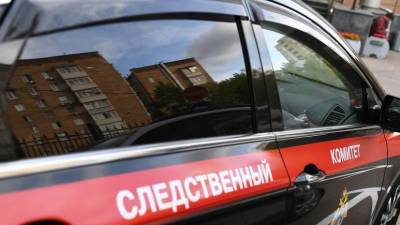 Елена Марковская - СК начал проверку по факту аварийной посадки самолёта в Пулкове - smartmoney.one - Россия