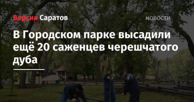 В Городском парке высадили ещё 20 саженцев черешчатого дуба - nversia.ru