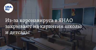 Из-за коронавируса в ЯНАО закрывают на карантин школы и детсады - ura.news - окр. Янао