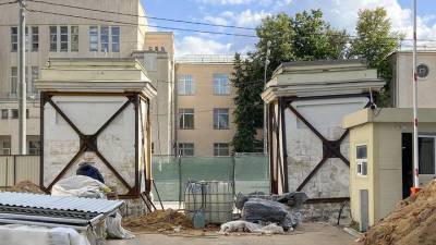 Пилоны парадных ворот Александринского дворца отреставрируют - vm.ru - Россия
