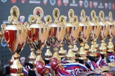 Дарья Абрамова примет участие в чемпионате мира по боксу - tula.mk.ru - Россия