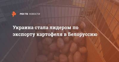 Украина стала лидером по экспорту картофеля в Белоруссию - ren.tv - Россия - Украина - Египет - Белоруссия - Германия - Македония - Азербайджан