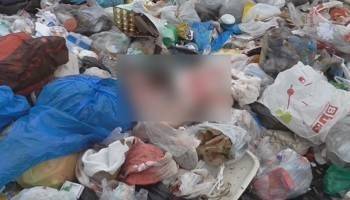 На свалке под Вологдой нашли труп мужчины - vologda-poisk.ru - Россия - Вологодская обл. - Вологда