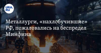 Металлурги, «нахлобучившие» РФ, пожаловались на беспредел Минфина - ura.news - Россия