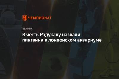 Эмма Радукану - В честь Радукану назвали пингвина в лондонском аквариуме - championat.com - США