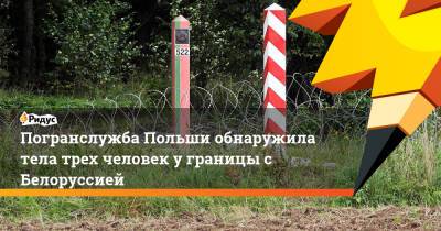 Погранслужба Польши обнаружила тела трех человек у границы с Белоруссией - ridus.ru - Белоруссия - Ирак - Польша
