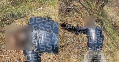 В Одессе обнаружили скелет мужчины со странной запиской (ФОТО) - dsnews.ua - Украина - Одесса - Закарпатская обл. - Прага