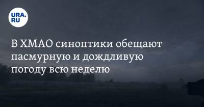 В ХМАО синоптики обещают пасмурную и дождливую погоду всю неделю - ura.news - Ханты-Мансийск - Югра