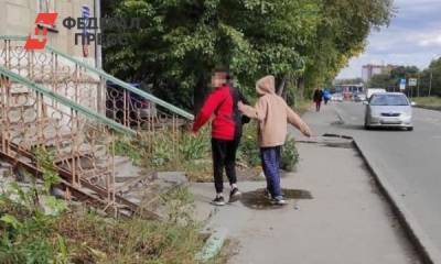 Новосибирский СК проверит нападение подростков на женщину с ребенком - fedpress.ru - Новосибирск