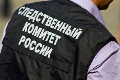 В Липецке СК проводит проверку информации о жестоком избиении студентки в колледже – Учительская газета - ug.ru - Россия - Липецкая обл. - Липецк
