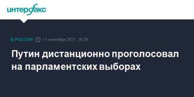 Владимир Путин - Дмитрий Песков - Михаил Мишустин - Путин дистанционно проголосовал на парламентских выборах - smartmoney.one - Москва - Россия