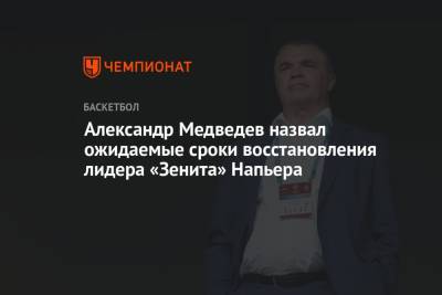 Александр Медведев - Александр Медведев назвал ожидаемые сроки восстановления лидера «Зенита» Напьера - championat.com