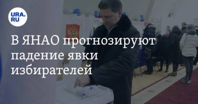 В ЯНАО прогнозируют падение явки избирателей - ura.news - окр. Янао