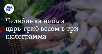 Челябинка нашла царь-гриб весом в три килограмма. Фото - ura.news - Челябинская обл. - Челябинск