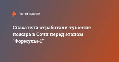 Спасатели отработали тушение пожара в Сочи перед этапом "Формулы-1" - ren.tv - Россия - Сочи