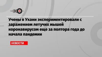 Учены в Ухани экспериментировали с заражением летучих мышей коронавирусом еще за полтора года до начала пандемии - echo.msk.ru - Китай - Ухань