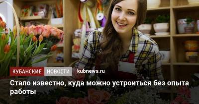 Стало известно, куда можно устроиться без опыта работы - kubnews.ru