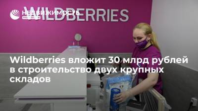 Wildberries вложит 30 млрд рублей в строительство двух крупных складов - realty.ria.ru - Москва - Россия - ЦФО - Самарская обл. - Тульская обл. - Wildberries