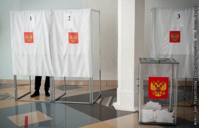 Элла Памфилова - На выборах в Госдуму будут работать около 250 международных наблюдателей - interfax.ru - Москва - Россия