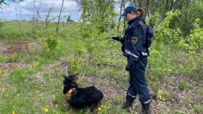 Полиция Красноярска ведет поиски двух пропавших накануне школьниц - inforeactor.ru - Красноярск