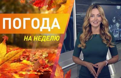 Потеплеет ли в Беларуси? Погода на неделю с 20 по 26 сентября. Подробный прогноз - ont.by - Россия - Белоруссия