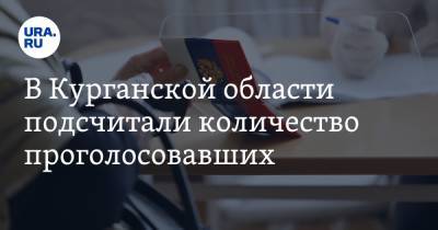 В Курганской области подсчитали количество проголосовавших - ura.news - Курганская обл. - Шадринск