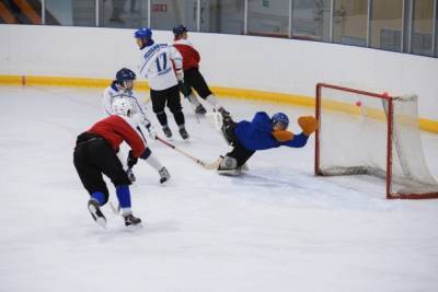 Сыктывкар примет Суперфинал European Rink Bandy Cup - bnkomi.ru - Сыктывкар - Братислава