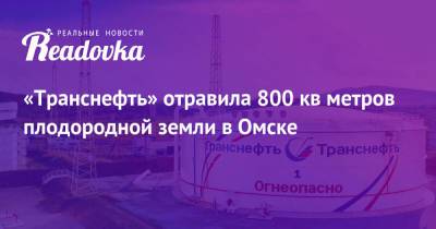 «Транснефть» отравила 800 кв метров плодородной земли в Омске - readovka.news - Омск - Транснефть