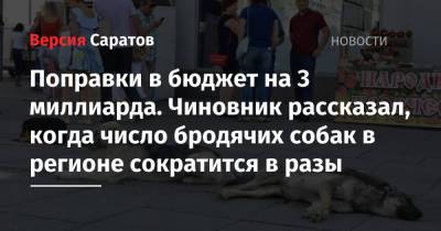 Поправки в бюджет на 3 миллиарда. Чиновник рассказал, когда число бродячих собак в Саратовской области сократится в разы - nversia.ru - Россия - Саратовская обл. - Саратов