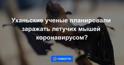 Уханьские ученые планировали заражать летучих мышей коронавирусом? - news.mail.ru - США - Англия