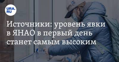 Источники: уровень явки в ЯНАО в первый день станет самым высоким - ura.news - Россия - Тюмень - окр. Янао