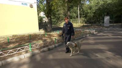 Избирательные участки в Воронежской области проверили кинологи - vestivrn.ru - Воронеж - Воронежская обл. - район Левобережный, Воронеж