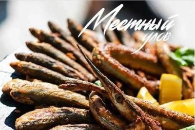 В Коктебеле прошёл эногастрономический уикенд «Местный Улов» - versia.ru - Крым