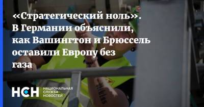 Александр Рар - «Стратегический ноль». В Германии объяснили, как Вашингтон и Брюссель оставили Европу без газа - nsn.fm - Россия - США - Украина - Вашингтон - Германия - Брюссель