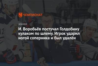 Никита Ефремов - Илья Воробьев - Николай Голдобин - И. Воробьёв постучал Голдобину кулаком по шлему. Игрок ударил ногой соперника и был удалён - championat.com - Новосибирск