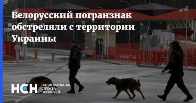 Белорусский погранзнак обстреляли с территории Украины - nsn.fm - Украина - Белоруссия - Польша - Латвия