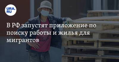 Алексей Оверчук - В РФ запустят приложение по поиску работы и жилья для мигрантов - ura.news - Россия