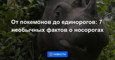 От покемонов до единорогов: 7 необычных фактов о носорогах - news.mail.ru - Будапешт