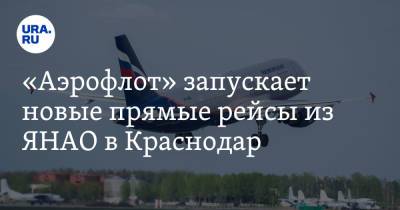 «Аэрофлот» запускает новые прямые рейсы из ЯНАО в Краснодар - ura.news - Краснодар - окр. Янао