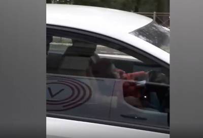В Петербурге отец усадил за руль дочь-дошкольницу - online47.ru - Санкт-Петербург