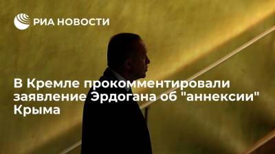 Реджеп Тайип Эрдоган - Дмитрий Песков - Тайип Эрдоган - В Кремле сожалеют о заявлении Эрдогана об "аннексии" Крыма в преддверии саммита в Сочи - ria.ru - Москва - Россия - Украина - Крым - Сочи - Турция