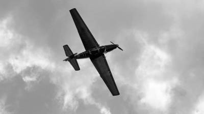 В Воронежской области нашли останки лётчиков сбитого в 1942 году советского самолёта - vestivrn.ru - Воронежская обл. - район Лискинский