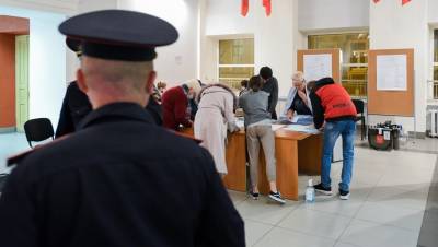 Наталья Чечина - Горизбирком за три дня получил почти 900 жалоб из-за нарушений на выборах - dp.ru - Санкт-Петербург