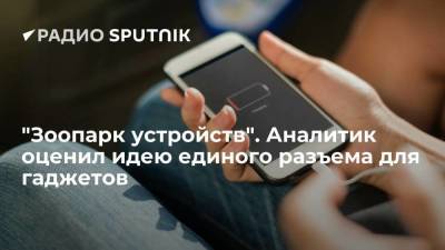 Эльдар Муртазин - "Зоопарк устройств". Аналитик оценил идею единого разъема для гаджетов - smartmoney.one - Reuters