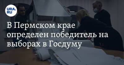В Пермском крае определен победитель на выборах в Госдуму - ura.news - Россия - Пермь - Пермский край